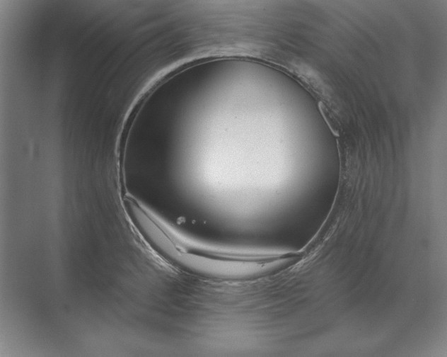 X0000071331184200607071624