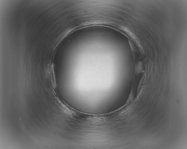 X0000071331185200607071624