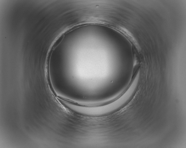 X0000071331188200607071624