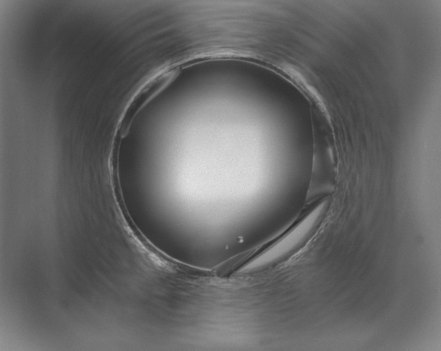 X0000071331189200607071624