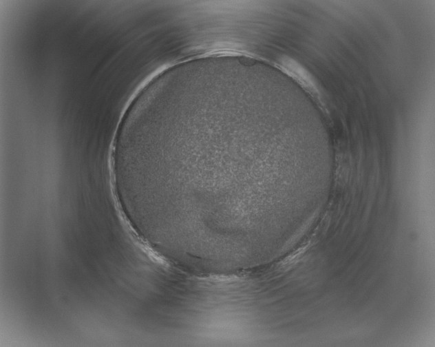 X0000071331190200607071624