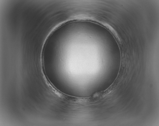 X0000071331191200607071624