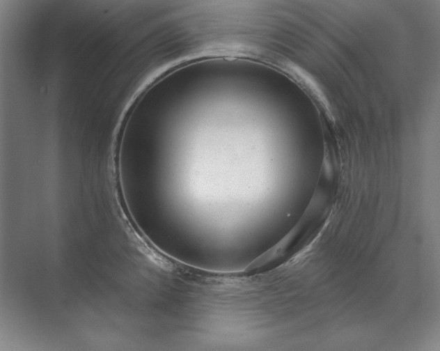 X0000071331192200607071624