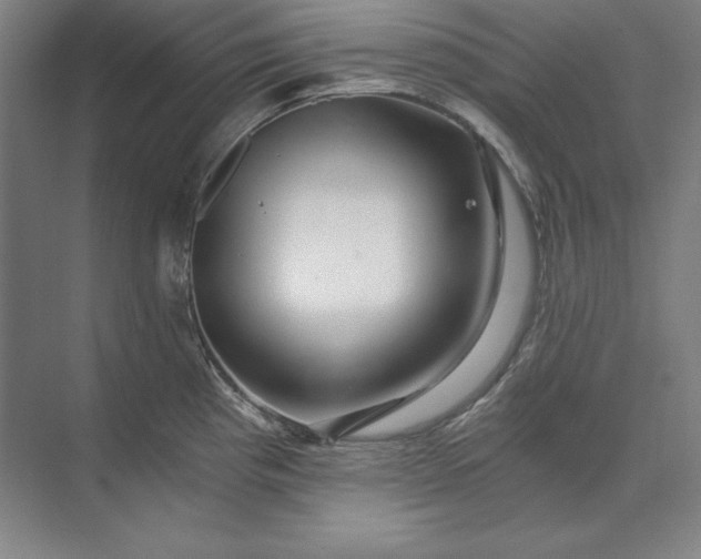 X0000071331193200607071624