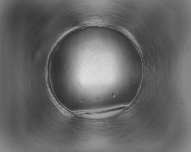 X0000071331195200607071624