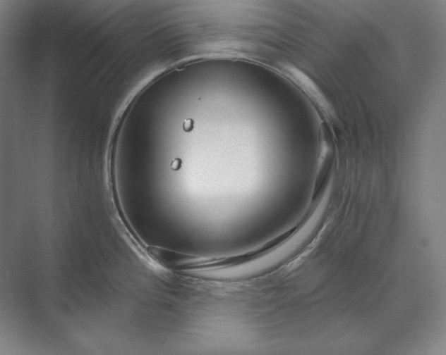 X0000071331196200607071624