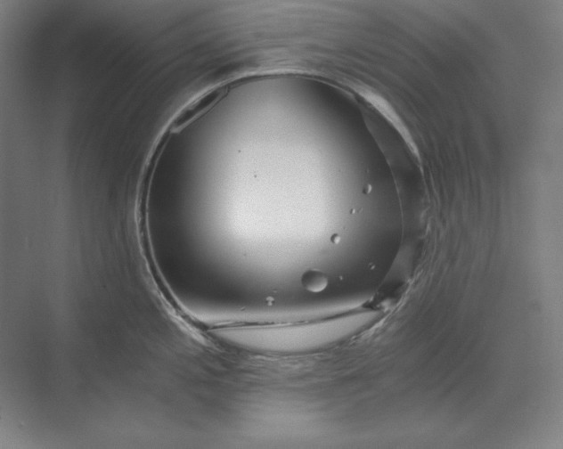 X0000071331197200607071624