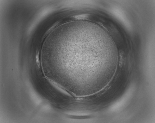 X0000071331198200607071624