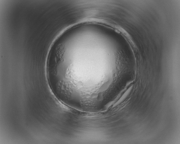 X0000071331199200607071624