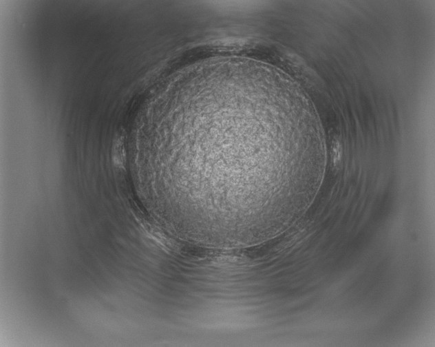 X0000071331204200607071623