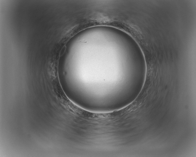 X0000071331205200607071623