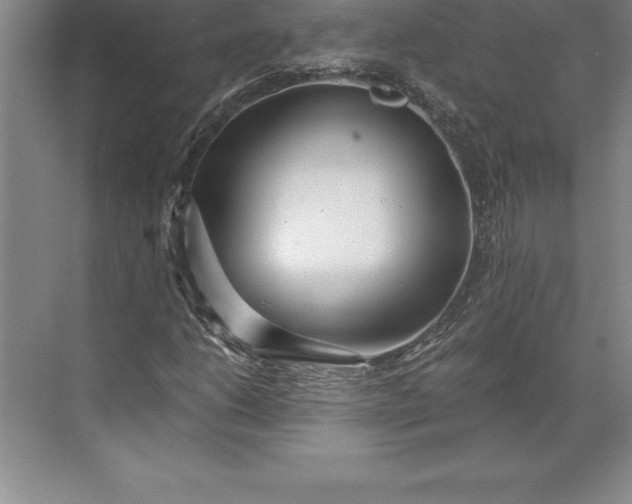 X0000071331206200607071623