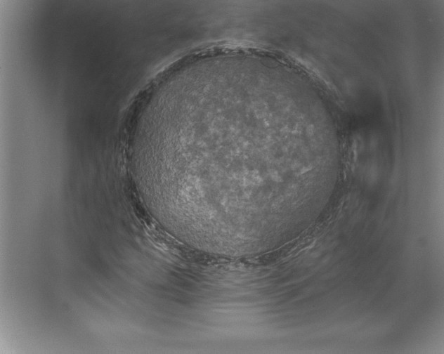 X0000071331207200607071623