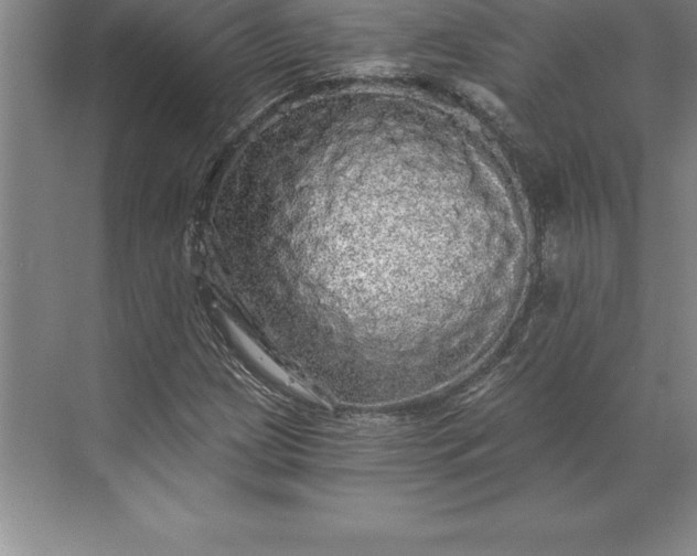 X0000071331209200607071623