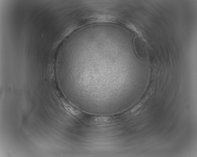 X0000071331211200607071623