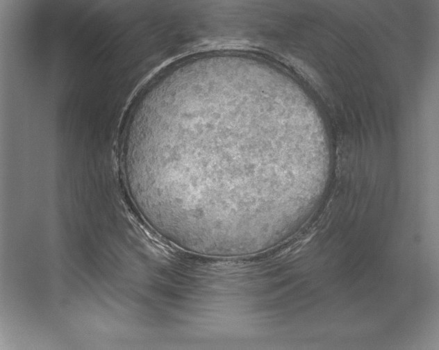 X0000071331212200607071623