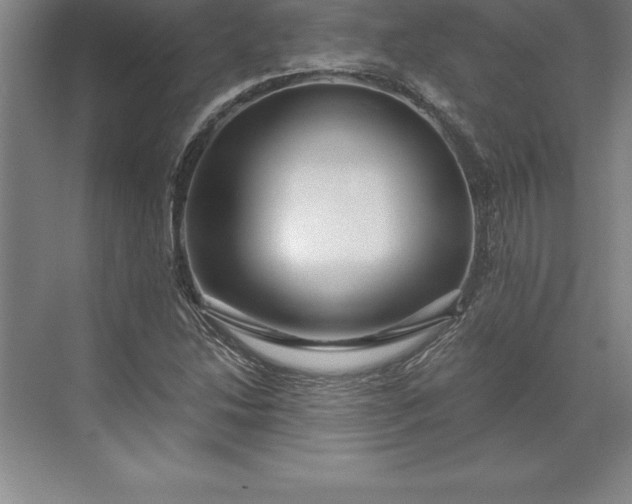 X0000071331214200607071623