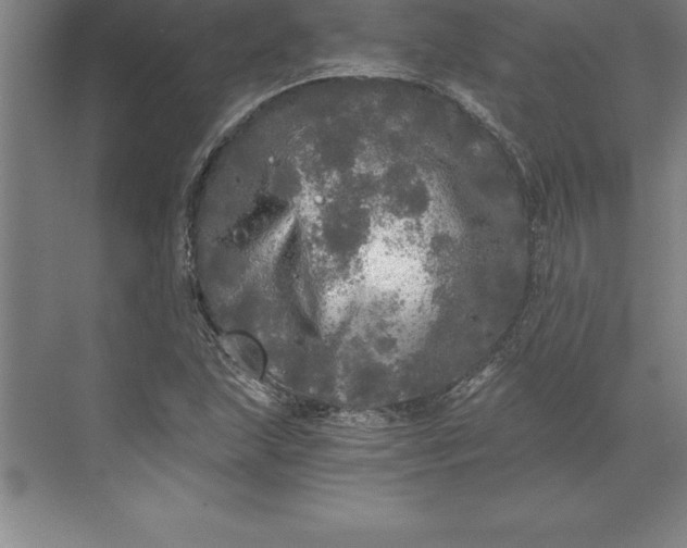 X0000071331215200607071623