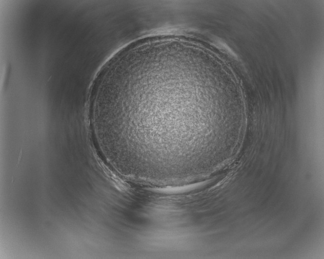 X0000071331216200607071623