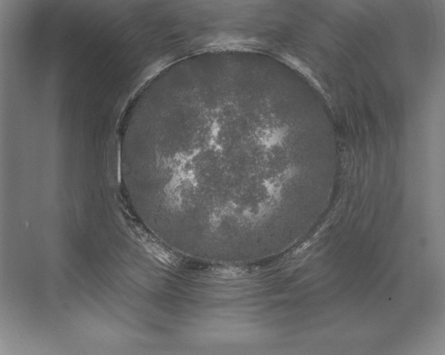 X0000071331219200607071623