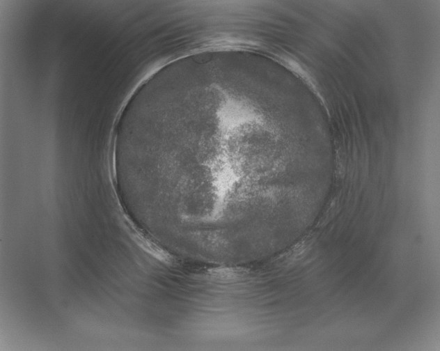 X0000071331227200607071624