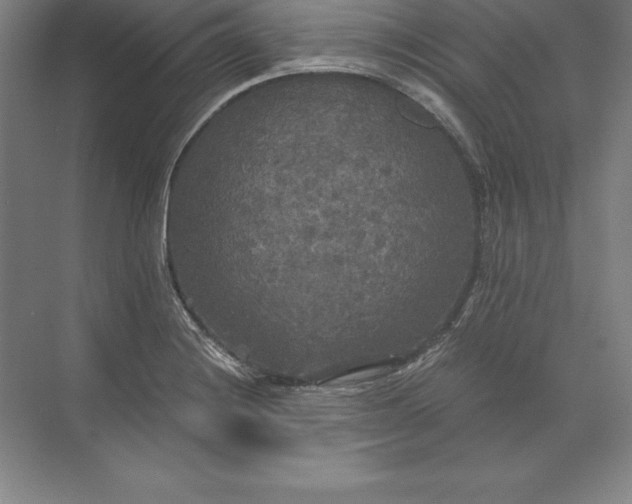 X0000071331228200607071624