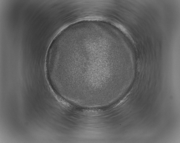 X0000071331229200607071624