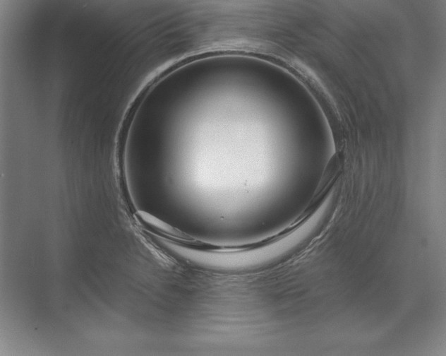 X0000071331230200607071624