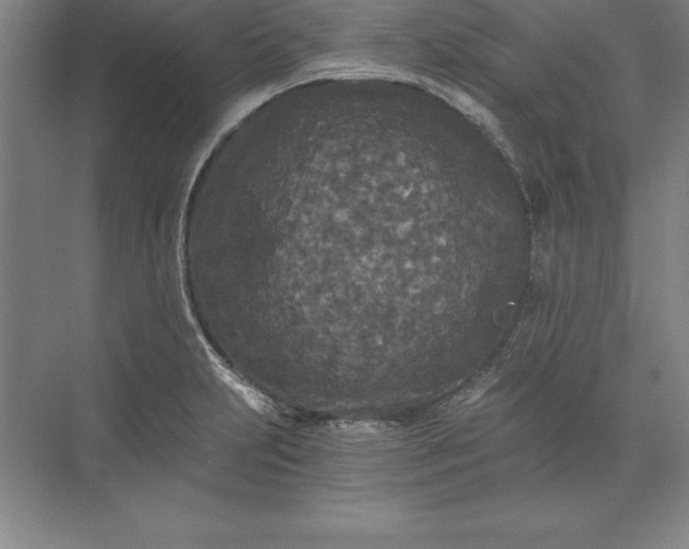 X0000071331231200607071624