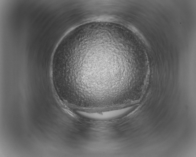 X0000071331232200607071624