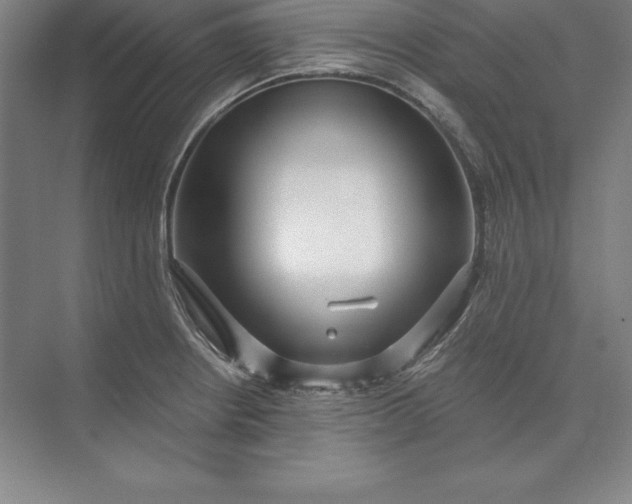 X0000071331234200607071624