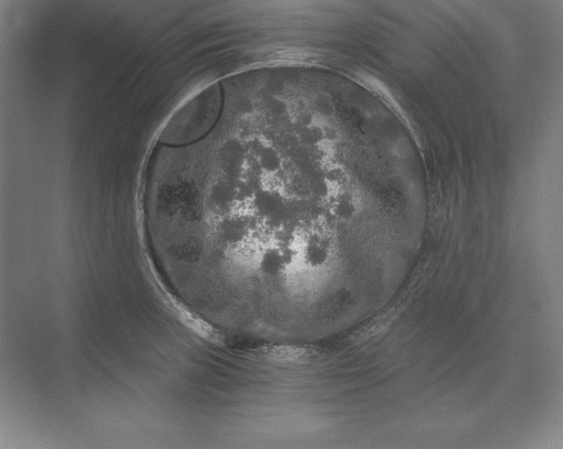 X0000071331235200607071624