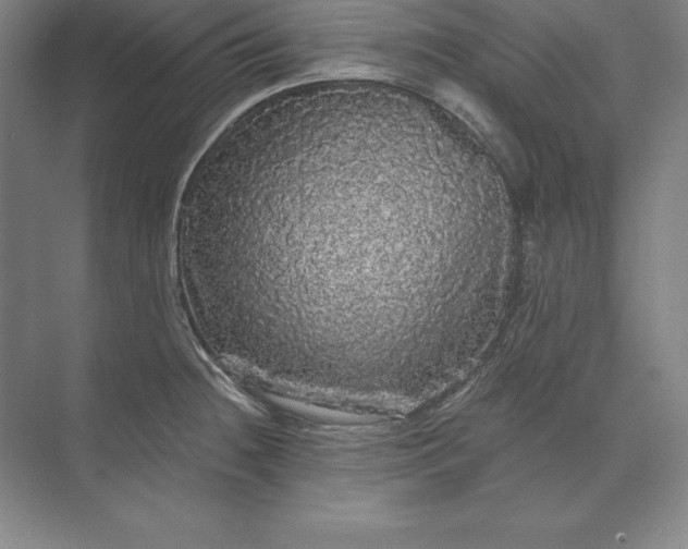 X0000071331236200607071624