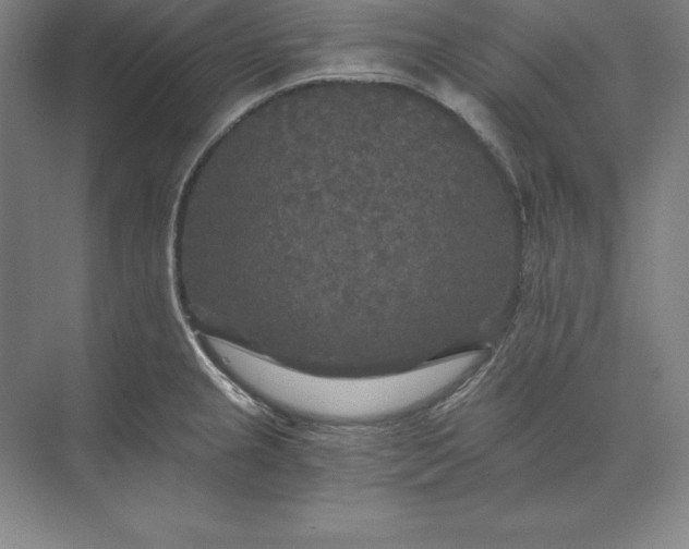 X0000071331237200607071624