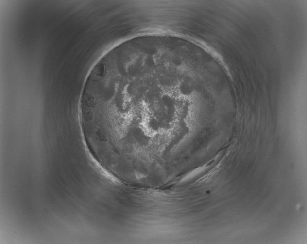 X0000071331239200607071624