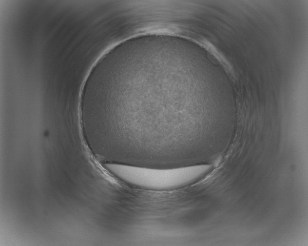 X0000071331240200607071624