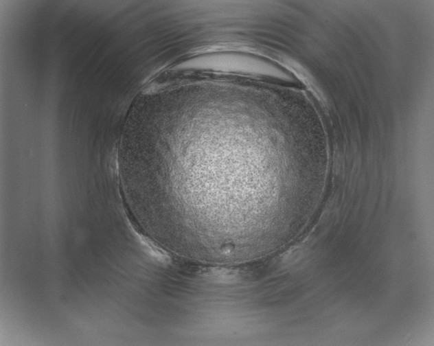 X0000071331241200607071624