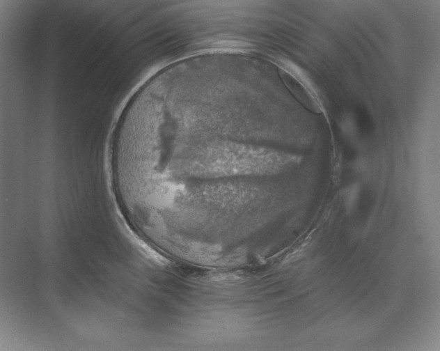 X0000071331243200607071624