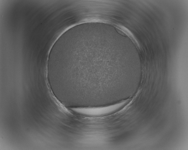 X0000071331244200607071624