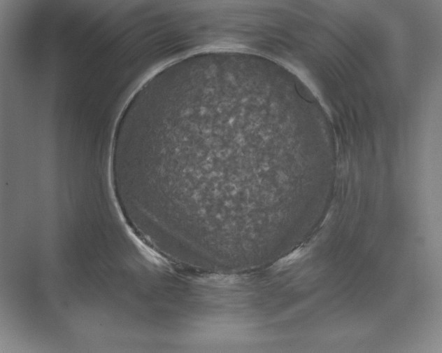 X0000071331245200607071624