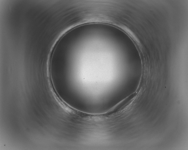 X0000071331246200607071624