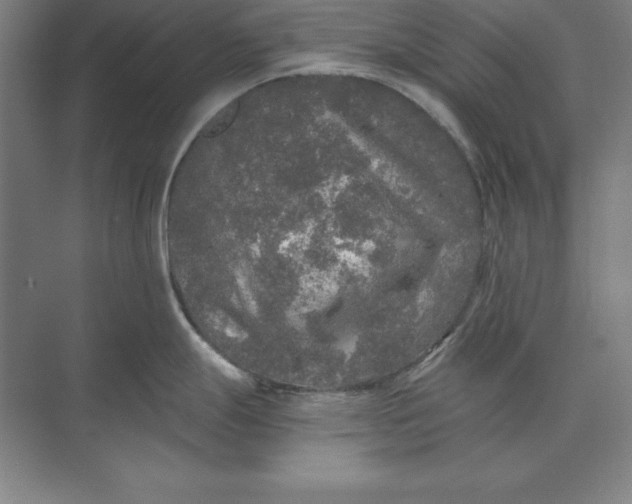 X0000071331247200607071624