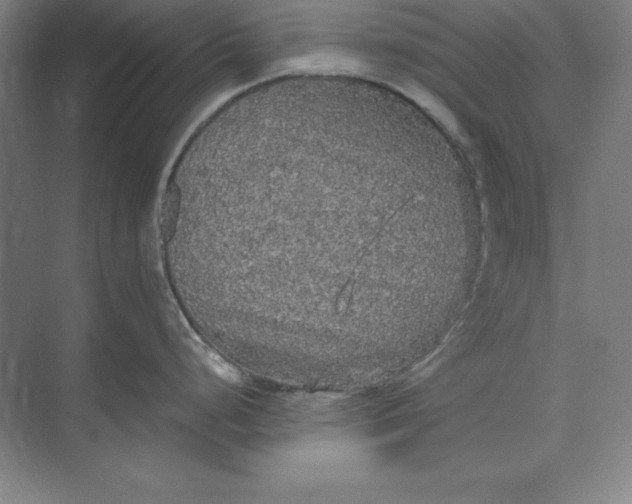 X0000071331248200607071624