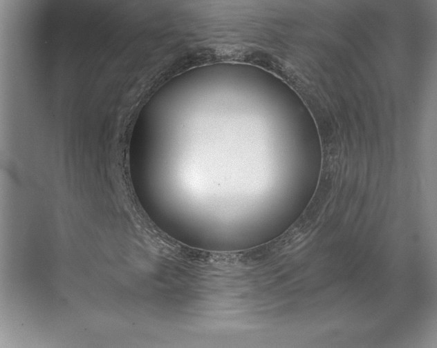 X0000071331249200607071623