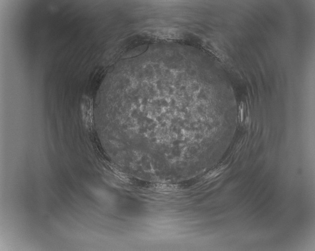 X0000071331251200607071623