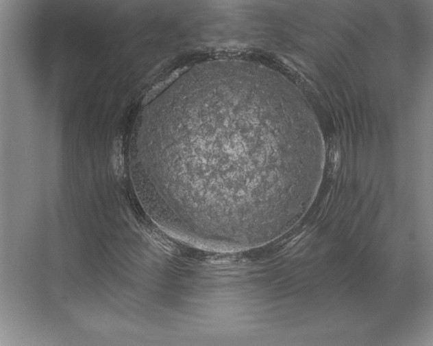 X0000071331252200607071623