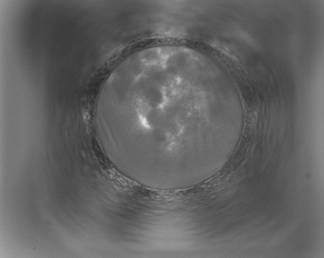 X0000071331254200607071623