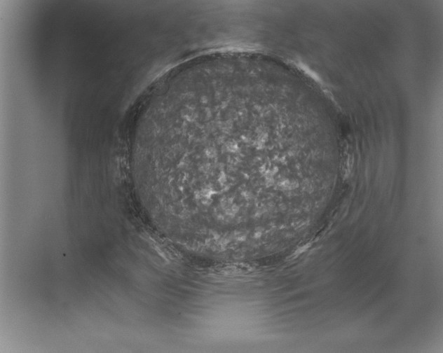 X0000071331255200607071623