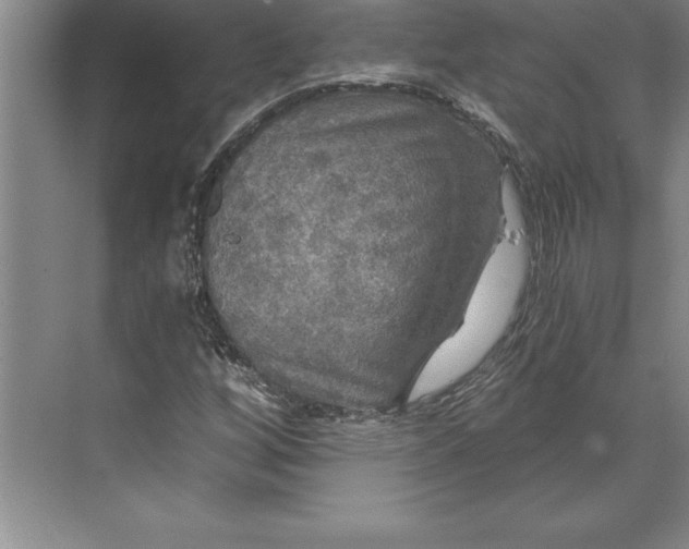 X0000071331256200607071623