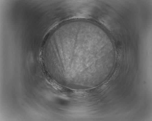 X0000071331258200607071623